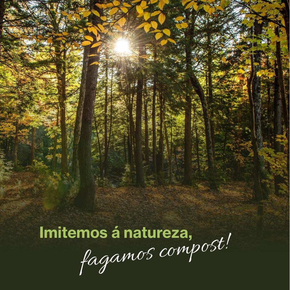 Bosque outonal: imitemos á natureza, fagamos compost
